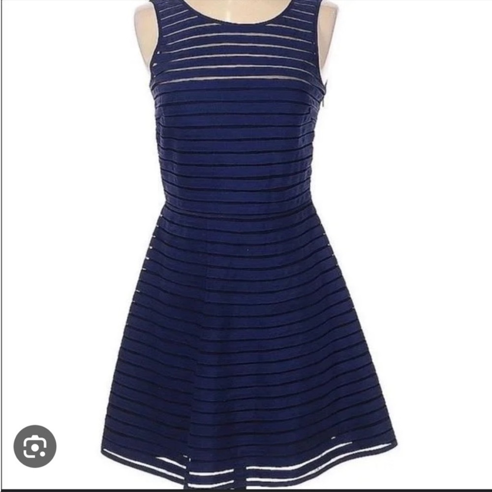 Parker Navy Mesh Stripe Fit and Flare Dress